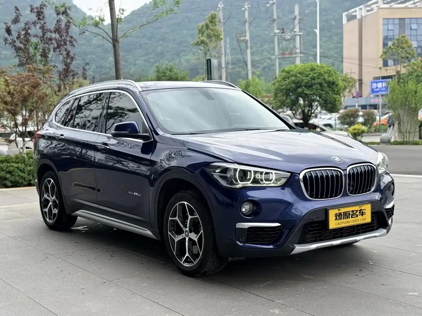 BMW X1 PHEV 2018 xDrive25Le Luxury — миниатюра 3