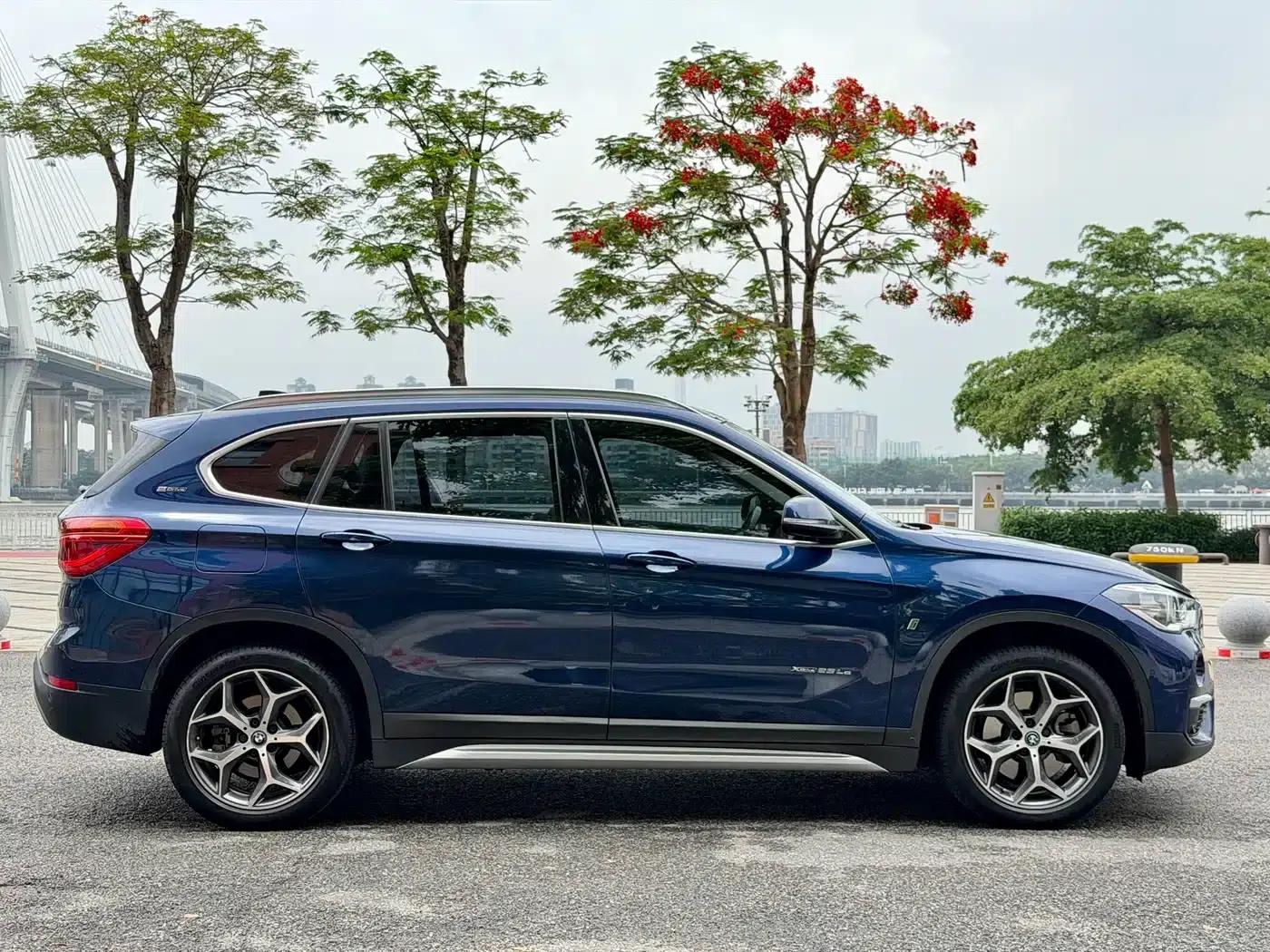 BMW X1 PHEV 2018 xDrive25Le Luxury — миниатюра 6