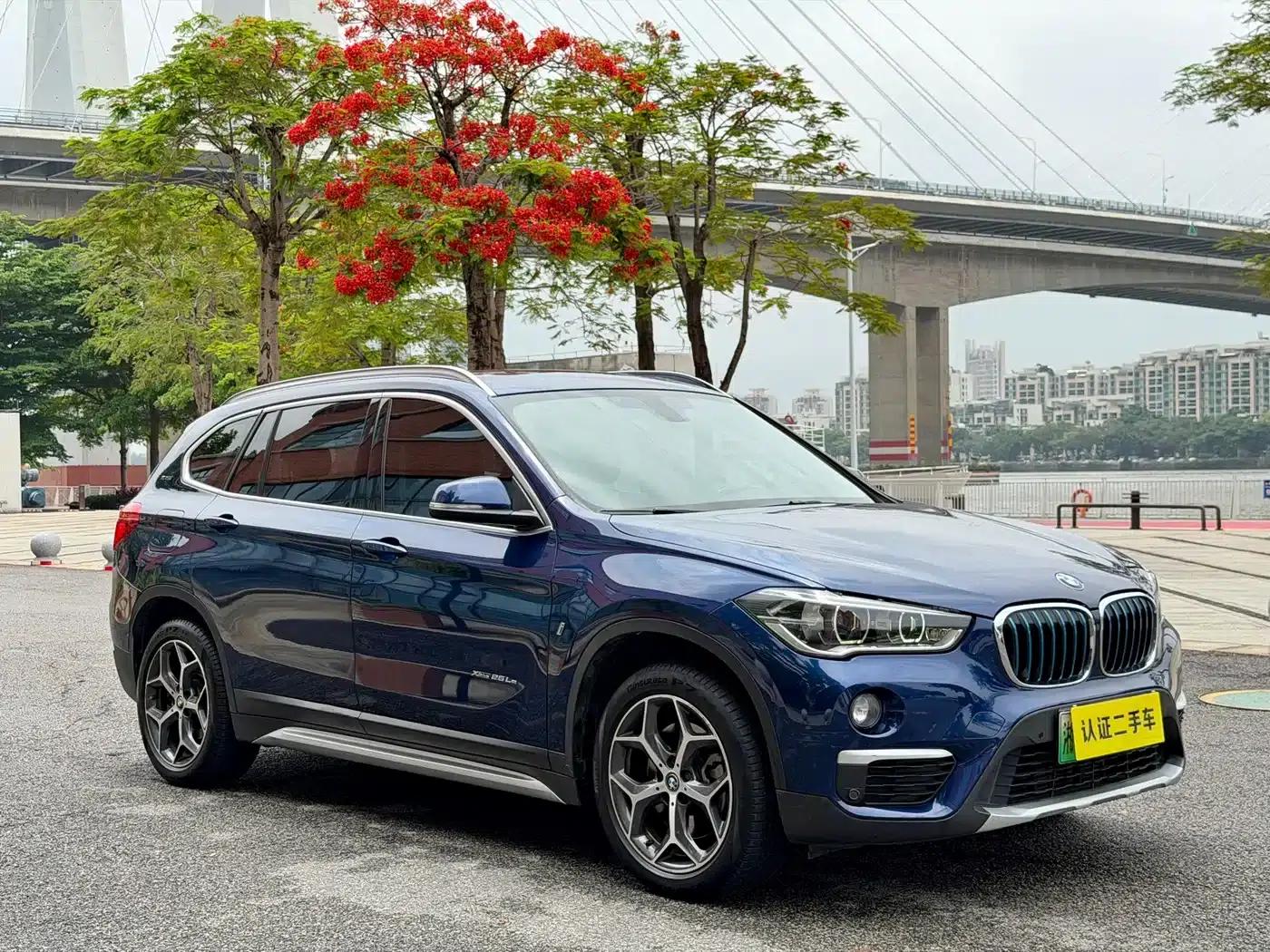 BMW X1 PHEV 2018 xDrive25Le Luxury — миниатюра 7