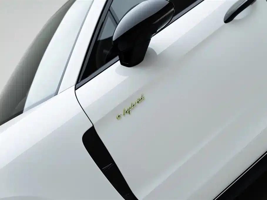 2021 Panamera 4S E-Hybrid Executive Long Wheelbase 2.9T — миниатюра 6