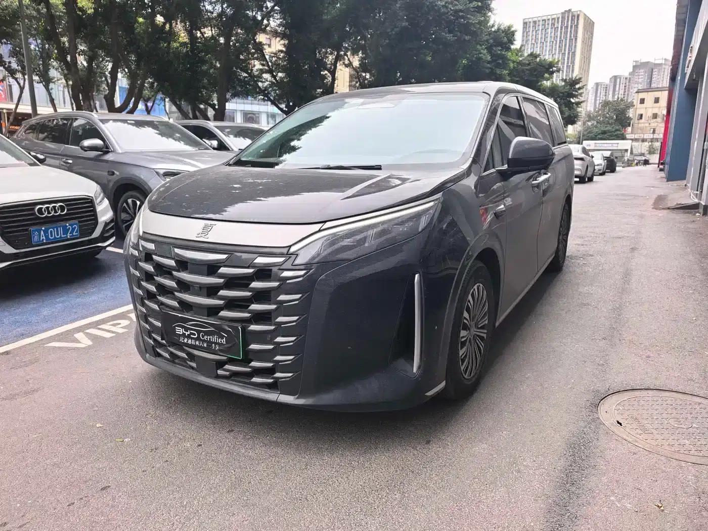 Summer 2025 DM-i 1.5T 180km Excellent Edition — миниатюра 1
