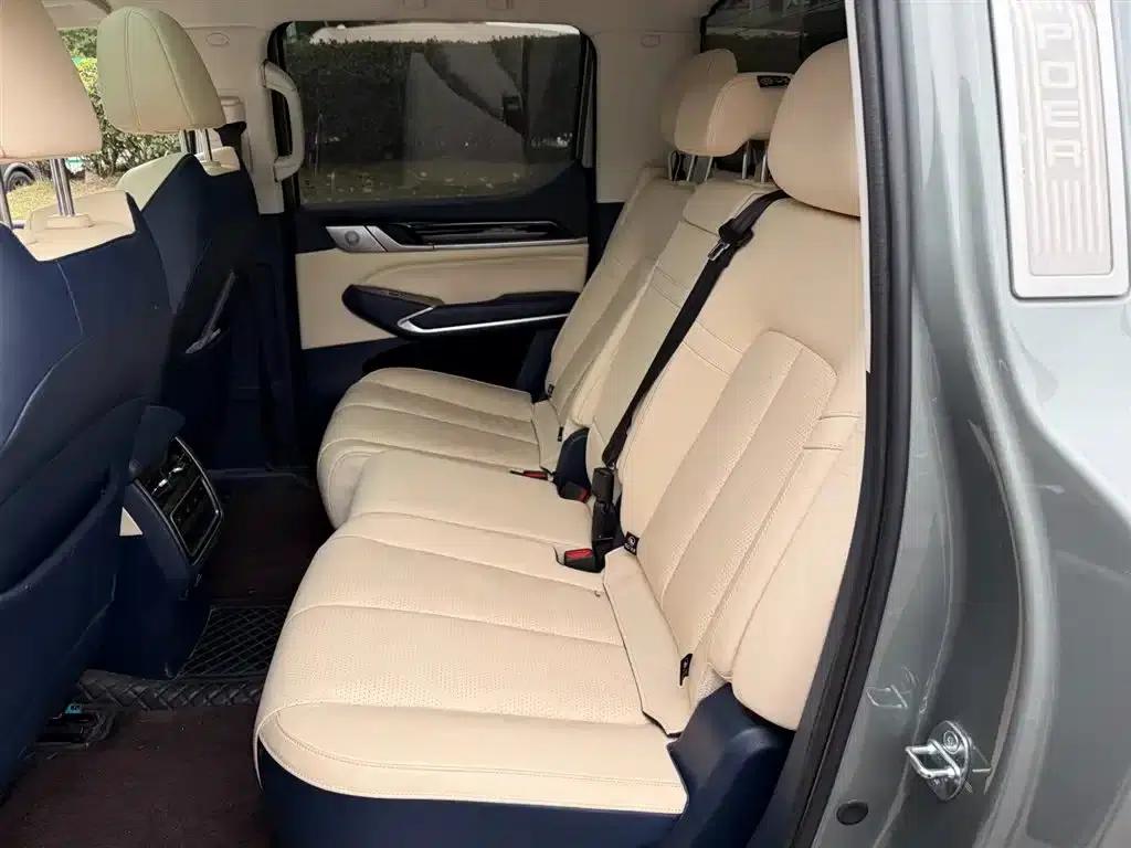 Shanhai Cannon 2023 3.0T V6 Gasoline Ultimate Edition — миниатюра 10
