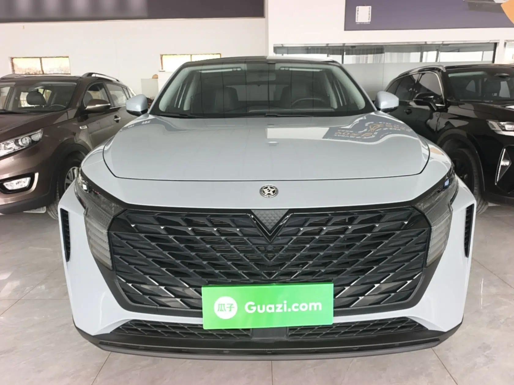 Venucia V 2021 260T Idol Edition — миниатюра 2