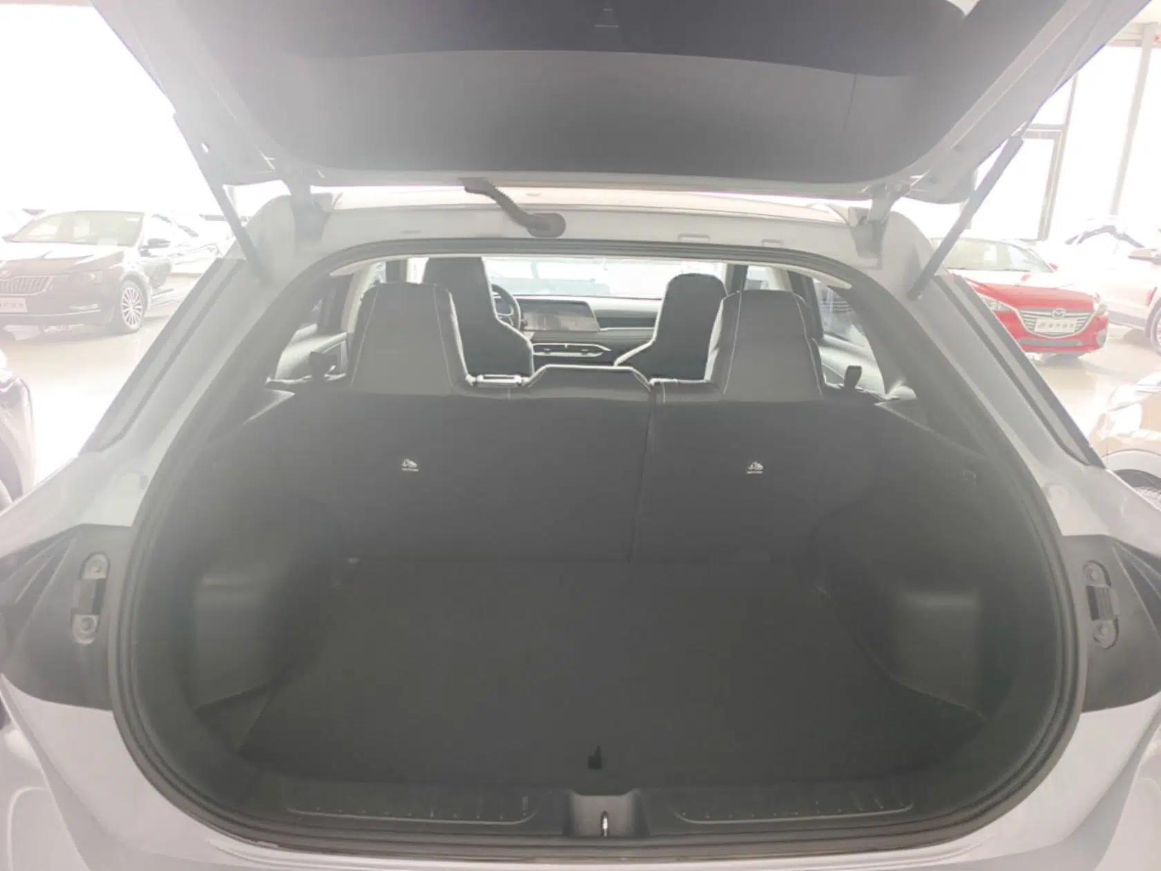 Venucia V 2021 260T Idol Edition — миниатюра 22