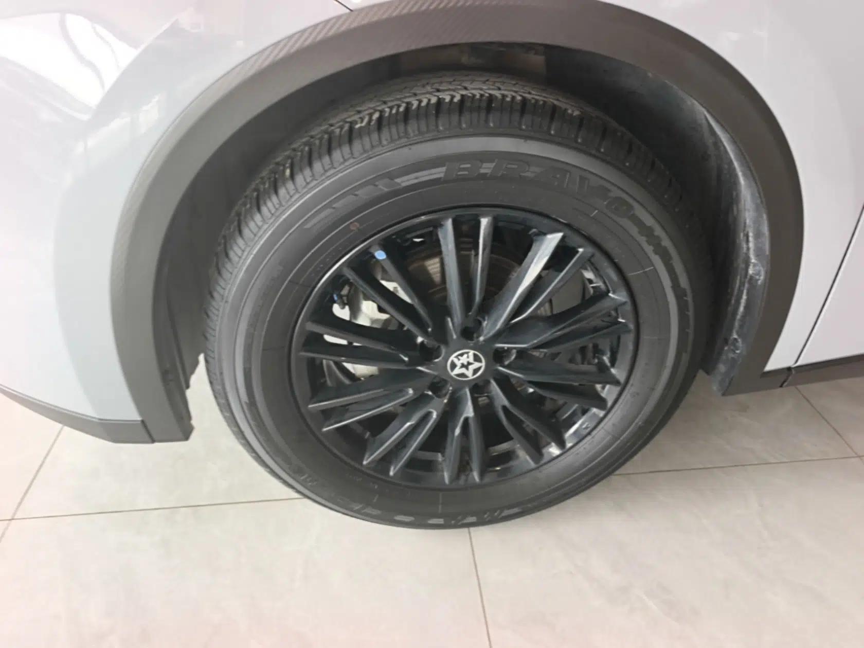 Venucia V 2021 260T Idol Edition — миниатюра 8
