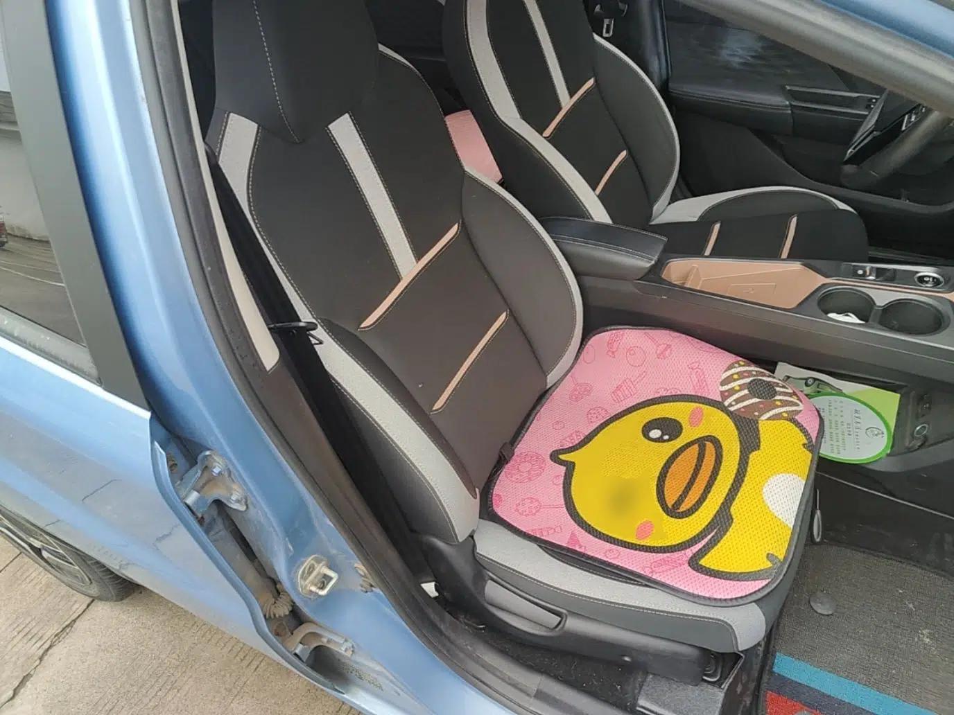 SOL E10X 2021 302 km Range Fashion Edition 31.4 kWh — миниатюра 23