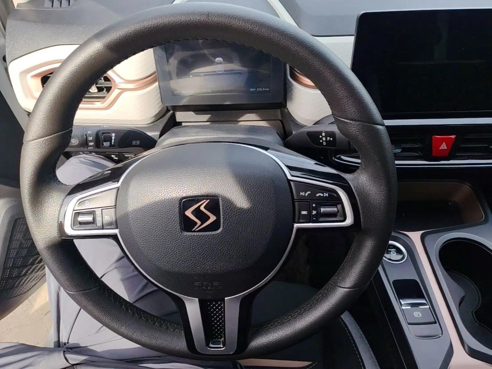 SOL E10X 2021 302 km Range Fashion Edition 31.4 kWh — миниатюра 14