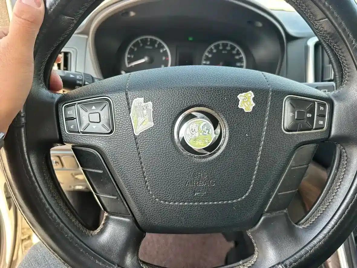 Lingzhi PLUS 2021 Touring Edition 2.0L Manual Deluxe 7-Seater — миниатюра 15