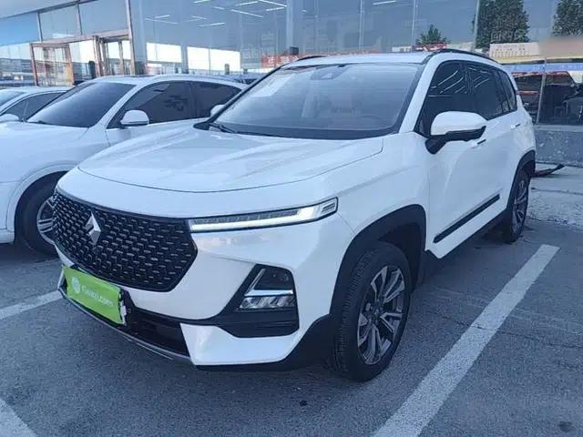 Baojun RS-5 2019 1.5T CVT Intelligent Driving Flagship Edition China V Emission Standard