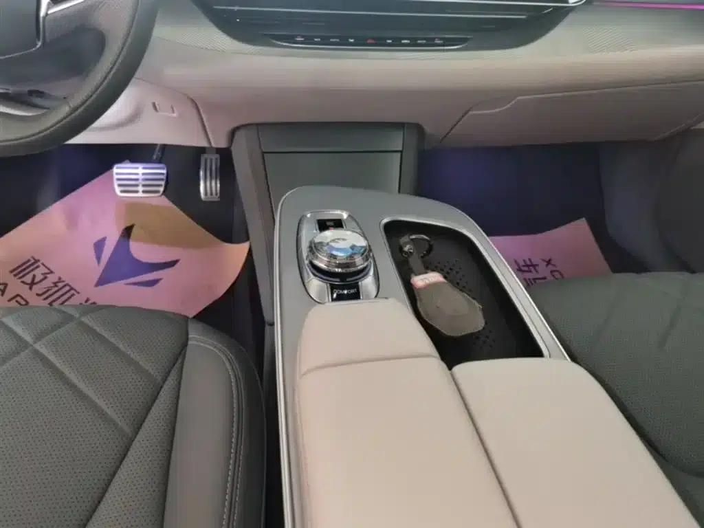 Jihu Alphard S 2023 735E+ Forest Edition 160kW — миниатюра 14