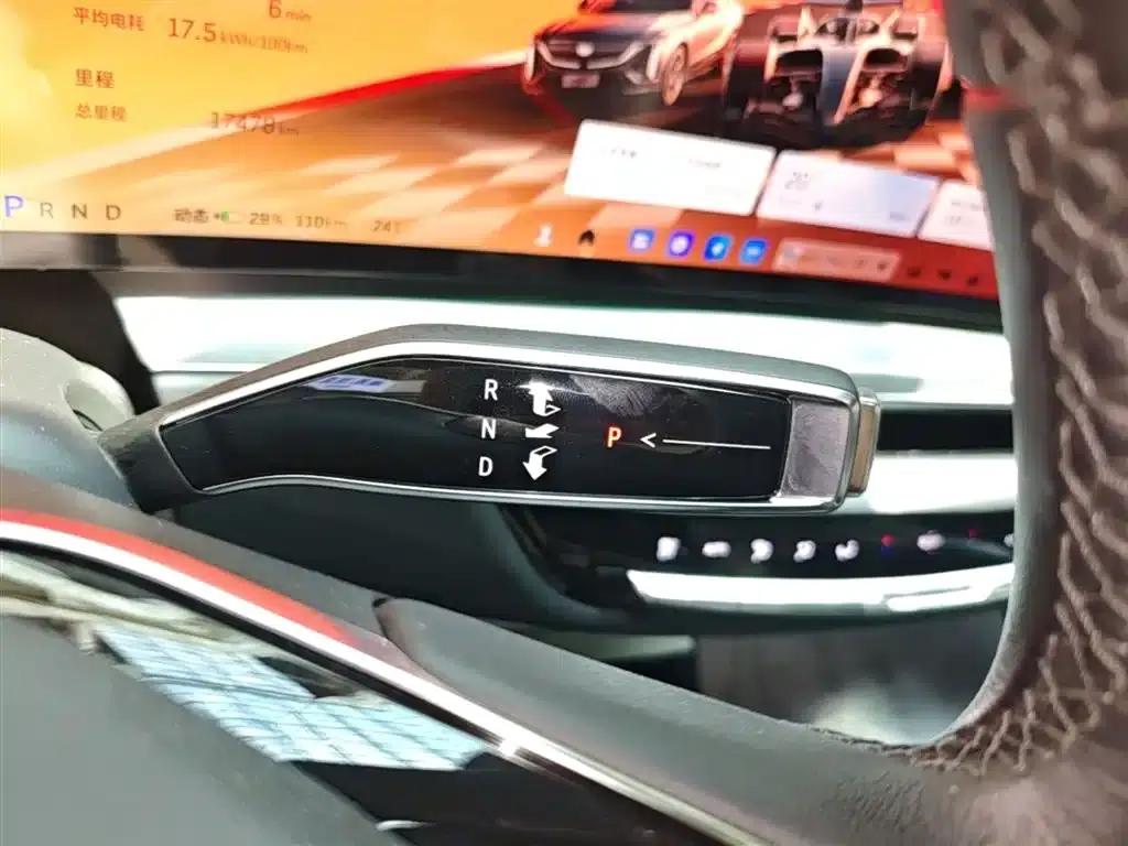 iQ Ruige 2024 Rear-Wheel Drive Standard Range Luxury Edition — миниатюра 14