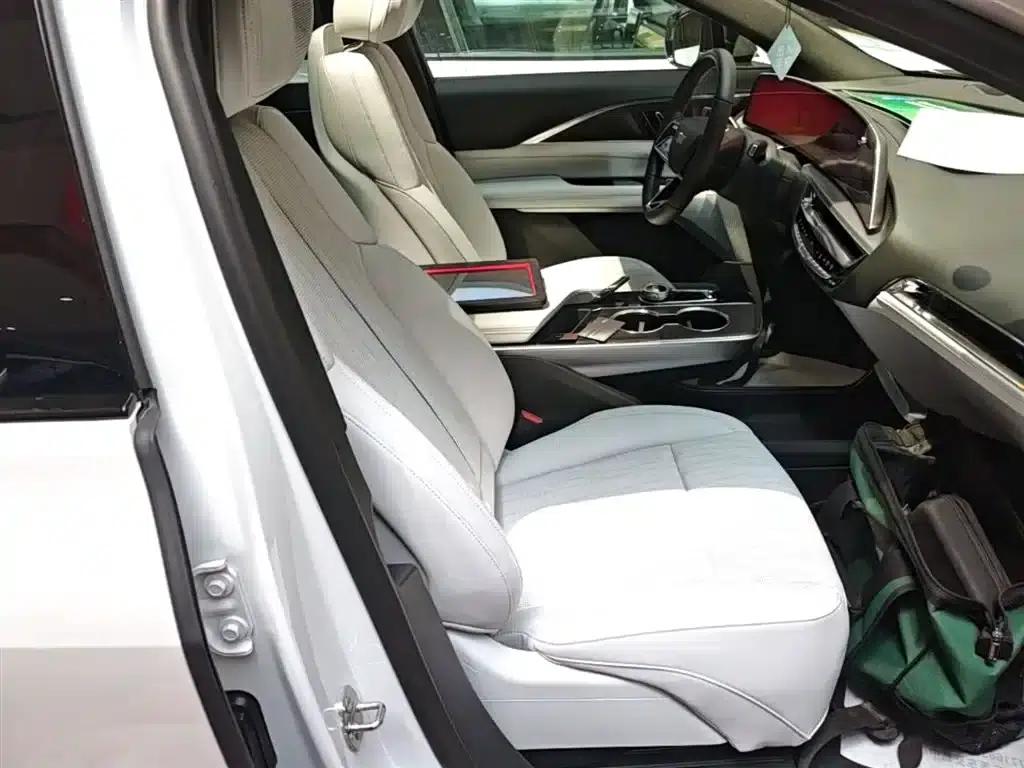 iQ Ruige 2024 Rear-Wheel Drive Standard Range Luxury Edition — миниатюра 25
