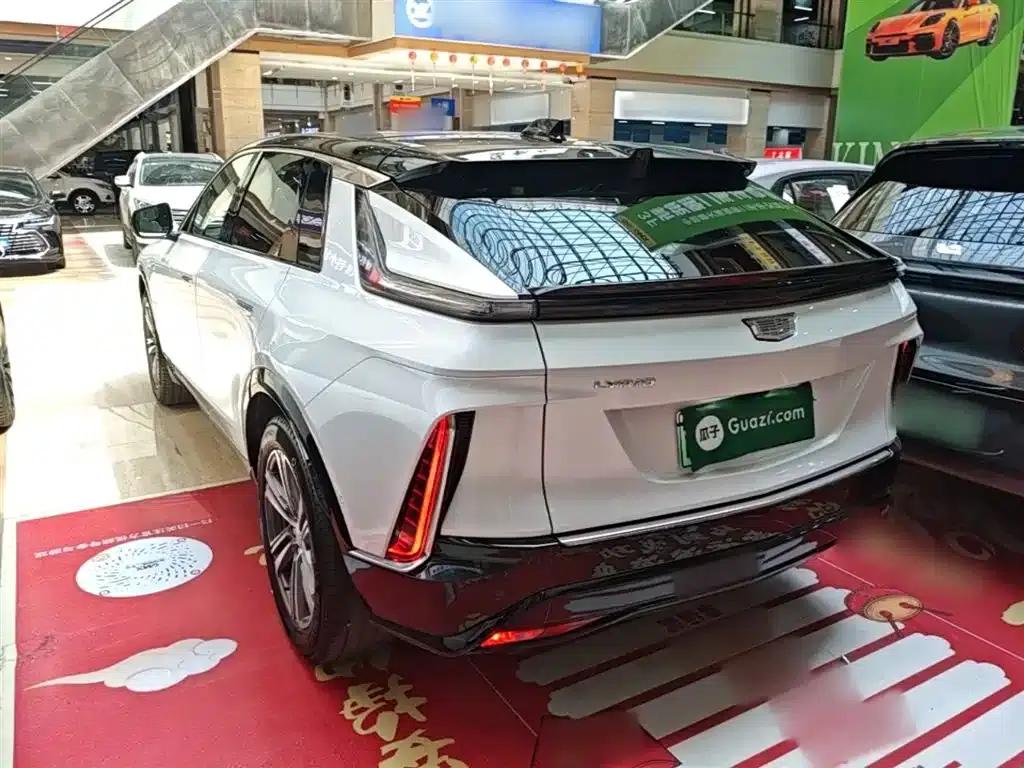 iQ Ruige 2024 Rear-Wheel Drive Standard Range Luxury Edition — миниатюра 5