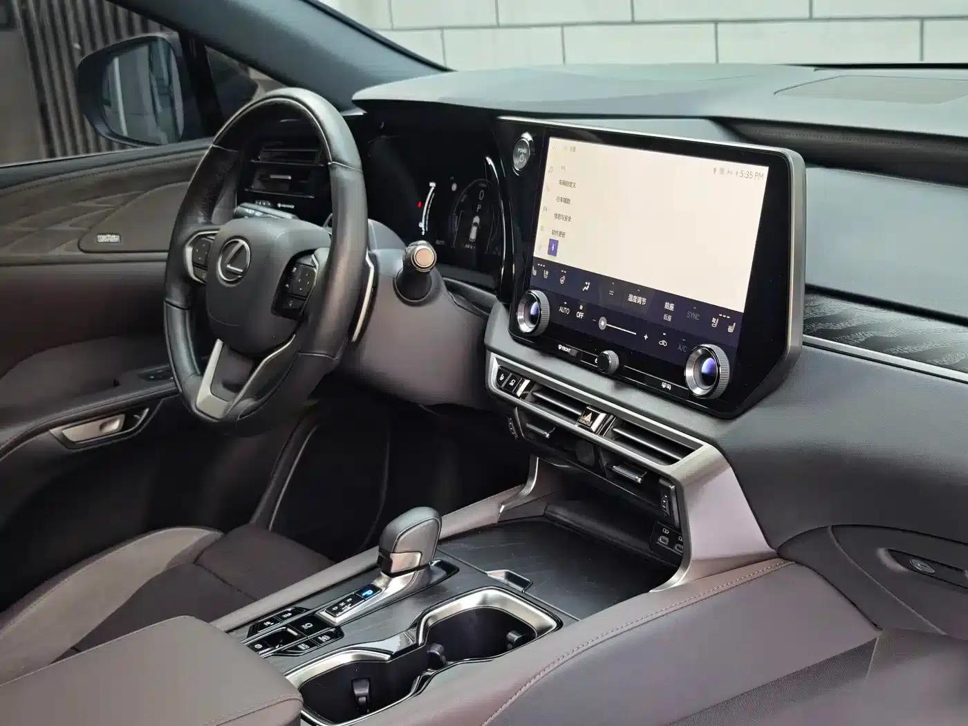 Lexus RX Hybrid 2023 450h+ AWD Enjoy Edition — миниатюра 11