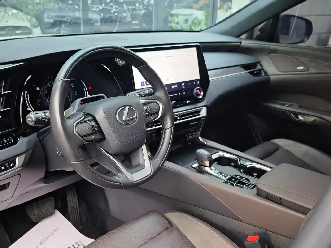 Lexus RX Hybrid 2023 450h+ AWD Enjoy Edition — миниатюра 8