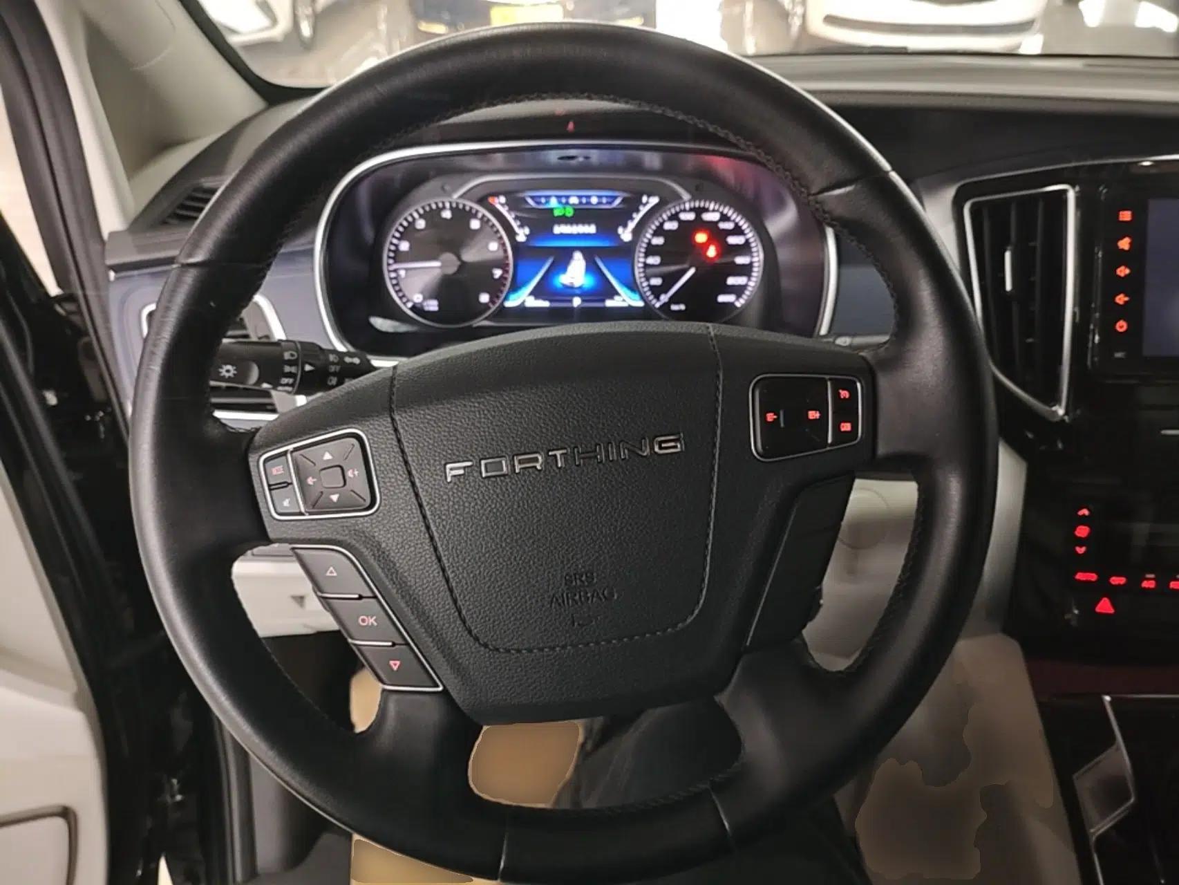 FORTHING M7 2022 Lingjue Model 2.0T Automatic Marquis Edition — миниатюра 14