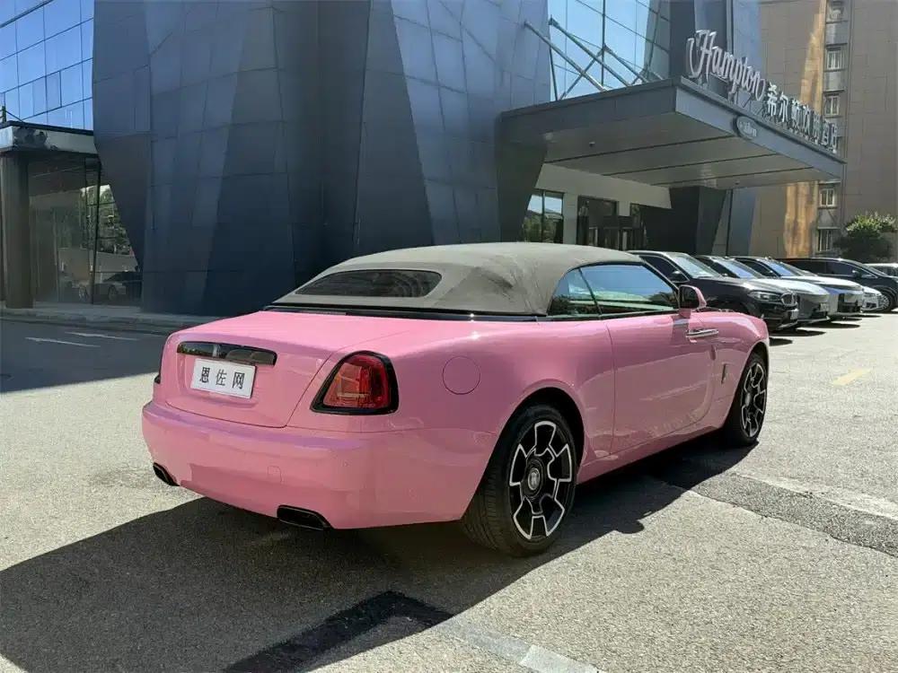 2018 Dawn 6.6T Black Badge — миниатюра 19