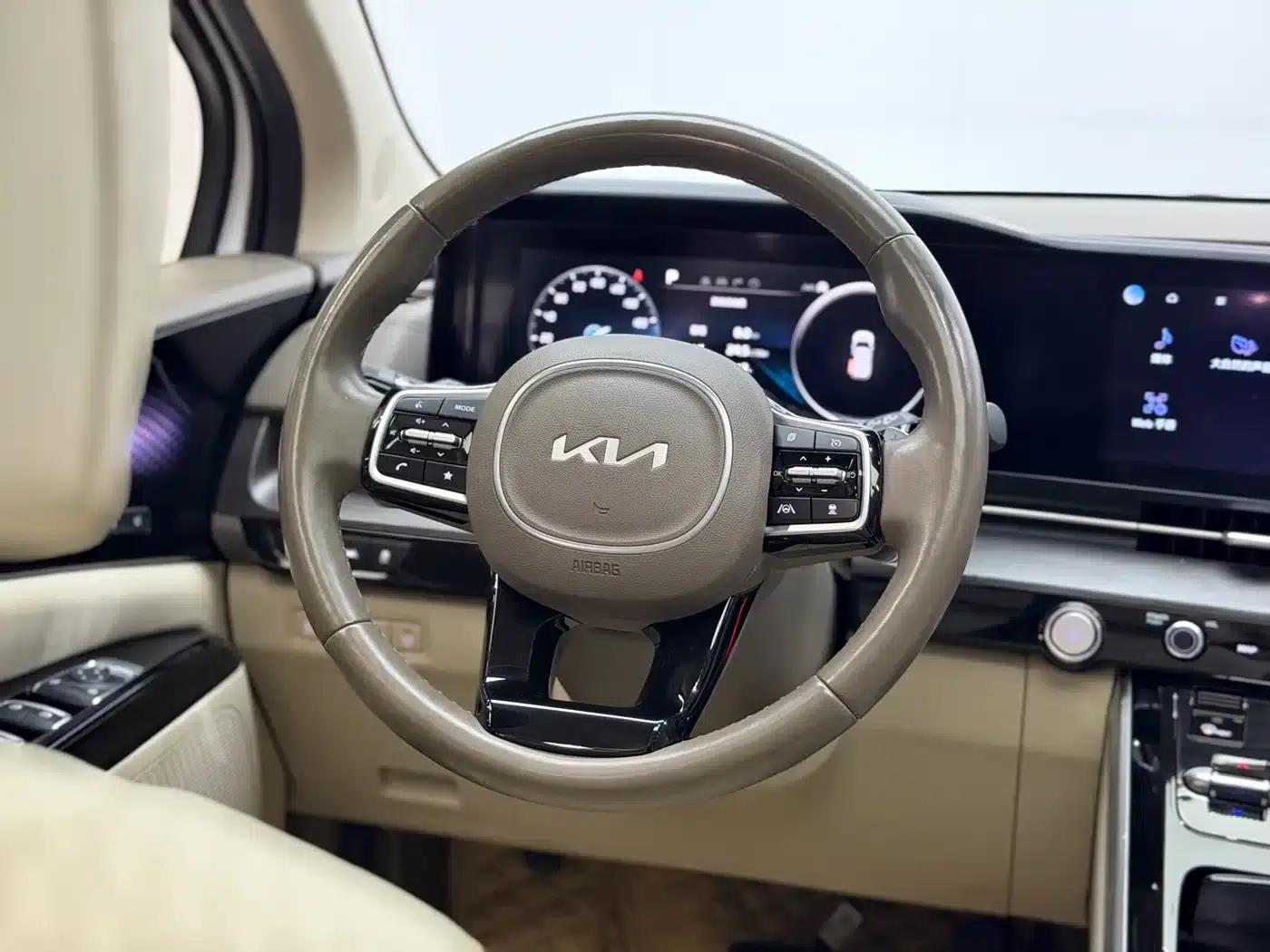 Carnival 2021 2.0T Flagship Edition — миниатюра 17