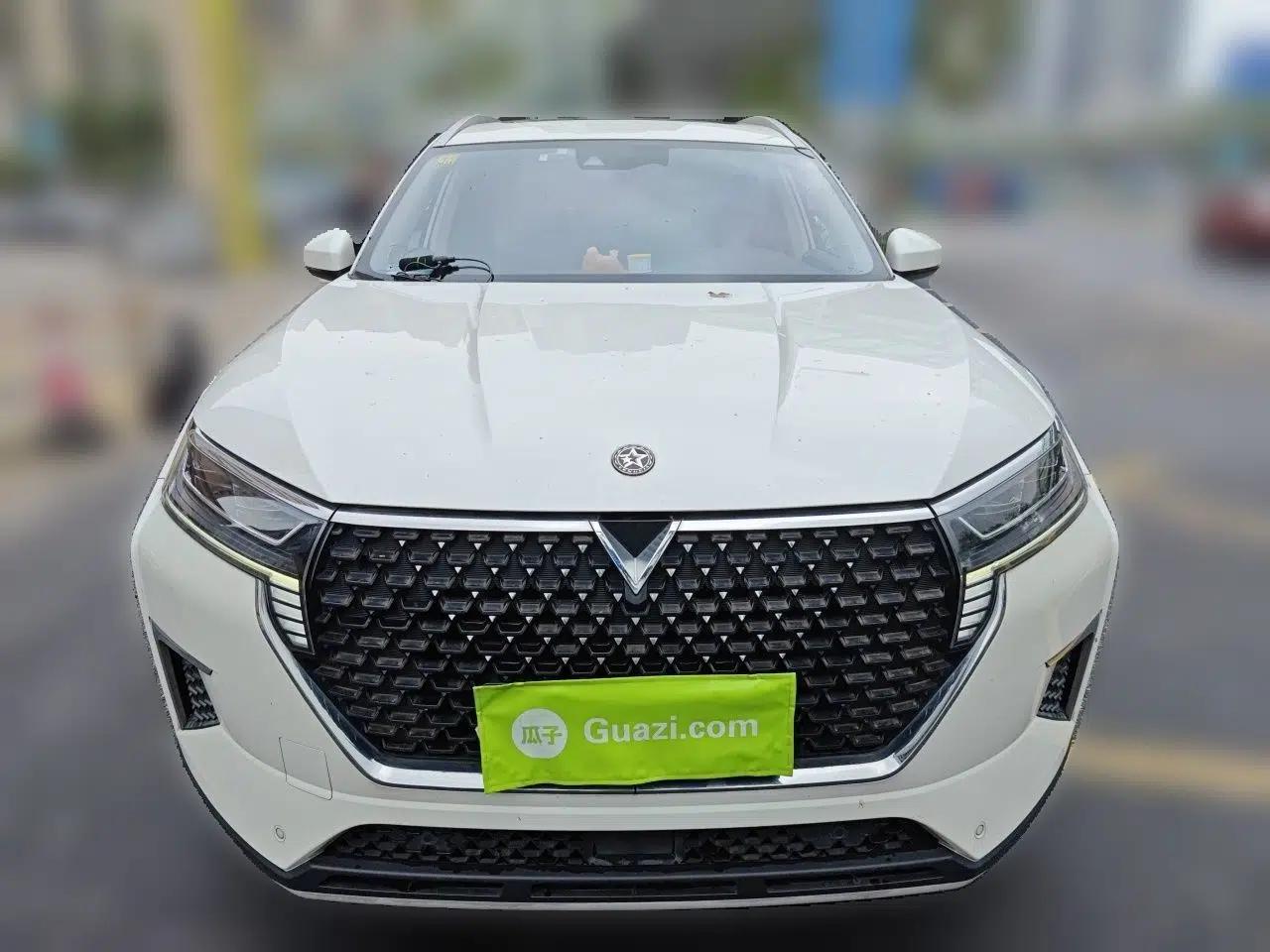 Venucia Star 2020 260T Automatic 48V Mild Hybrid Turbocharged Star Edition — миниатюра 2