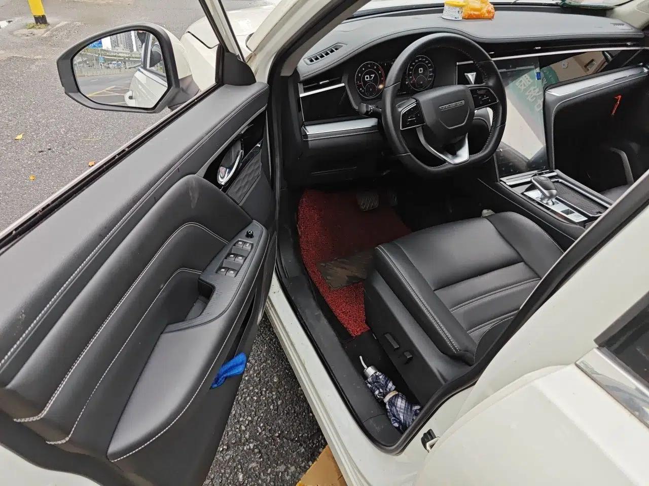 Venucia Star 2020 260T Automatic 48V Mild Hybrid Turbocharged Star Edition — миниатюра 17