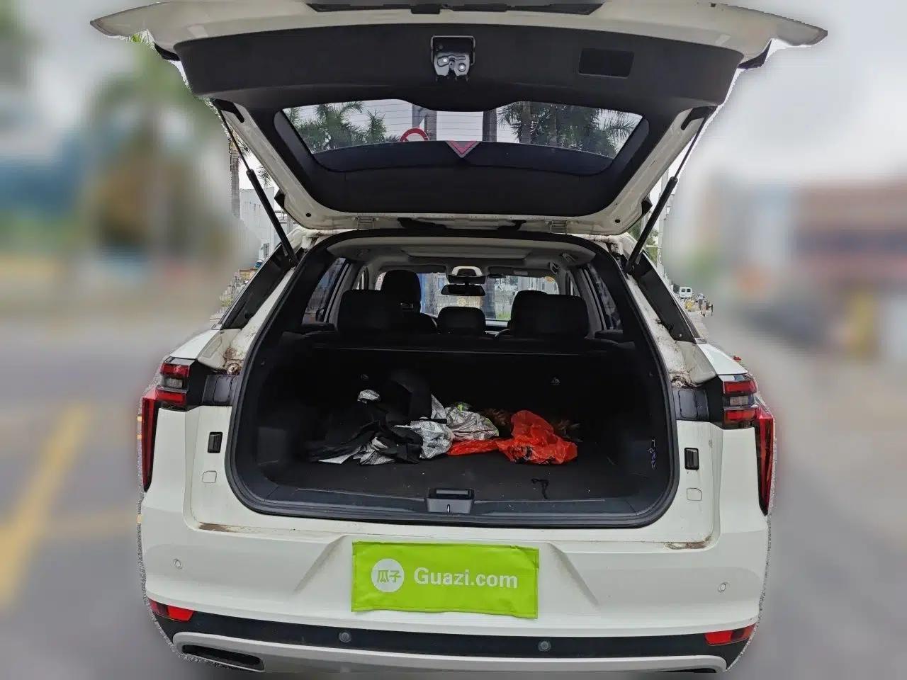Venucia Star 2020 260T Automatic 48V Mild Hybrid Turbocharged Star Edition — миниатюра 20