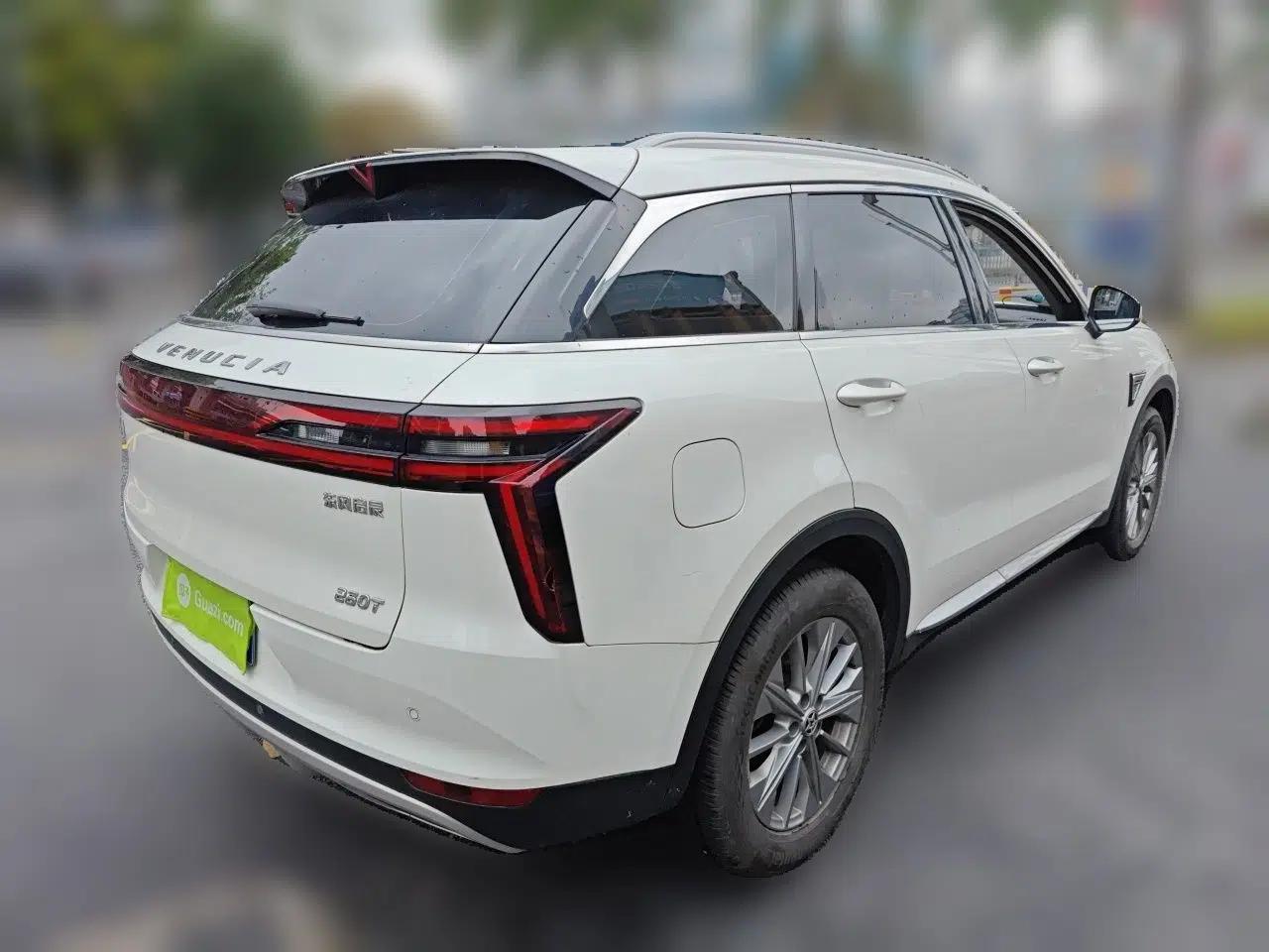 Venucia Star 2020 260T Automatic 48V Mild Hybrid Turbocharged Star Edition — миниатюра 6
