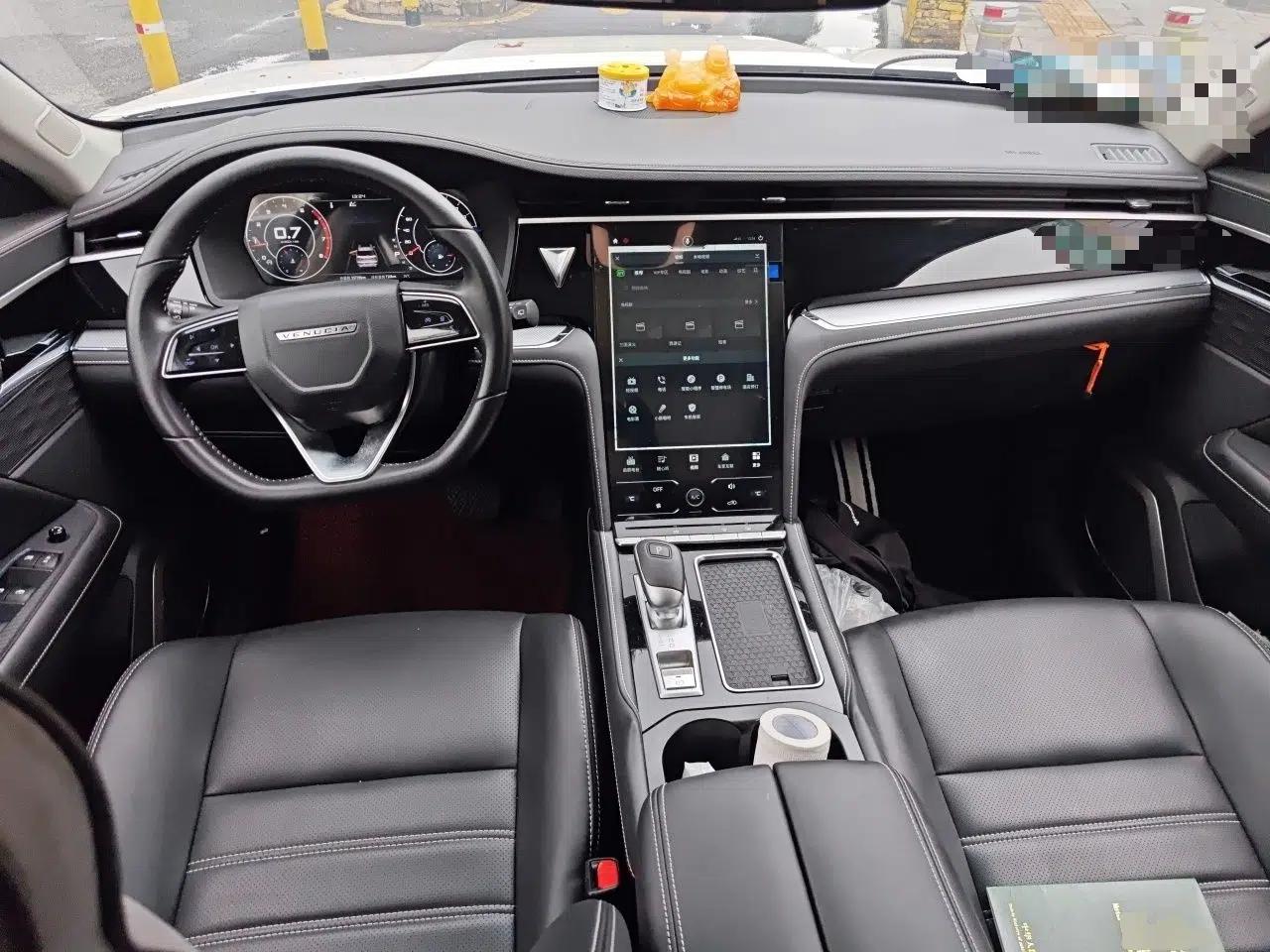 Venucia Star 2020 260T Automatic 48V Mild Hybrid Turbocharged Star Edition — миниатюра 10