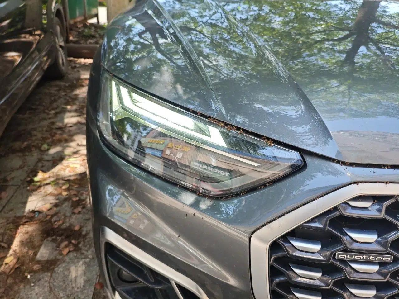 Audi Q5L Sportback 2021 40 TFSI Luxury Edition — миниатюра 7