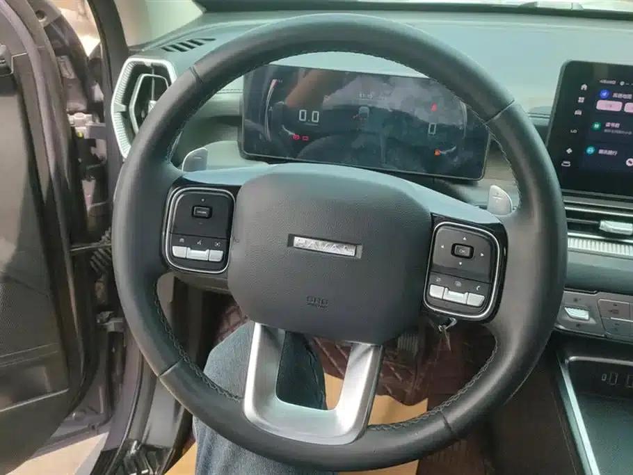 Haval H5 2023 2.0T Automatic 4WD Leading Edition Diesel — миниатюра 15