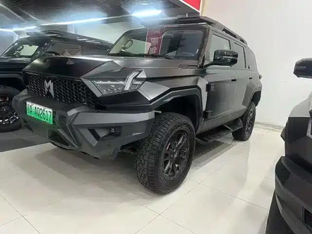 Warrior 917 2023 Pure Electric Basic Edition