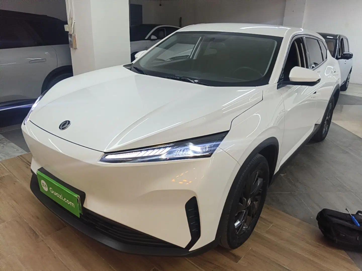 Dongfeng Aeolus SKY EV01 2024 530km PRO — миниатюра 1