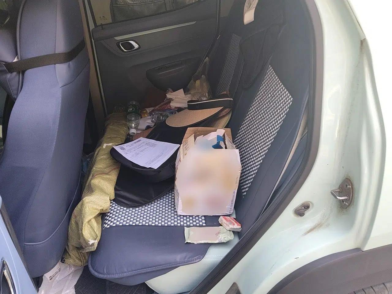 Dongfeng NAMMI BOX 2022 Chasing Wind Edition 351 km Advanced Model — миниатюра 18