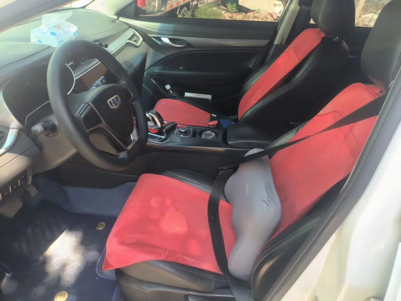 Geely Auto Emgrand New Energy 2018 EV450 Ambition Model — миниатюра 16
