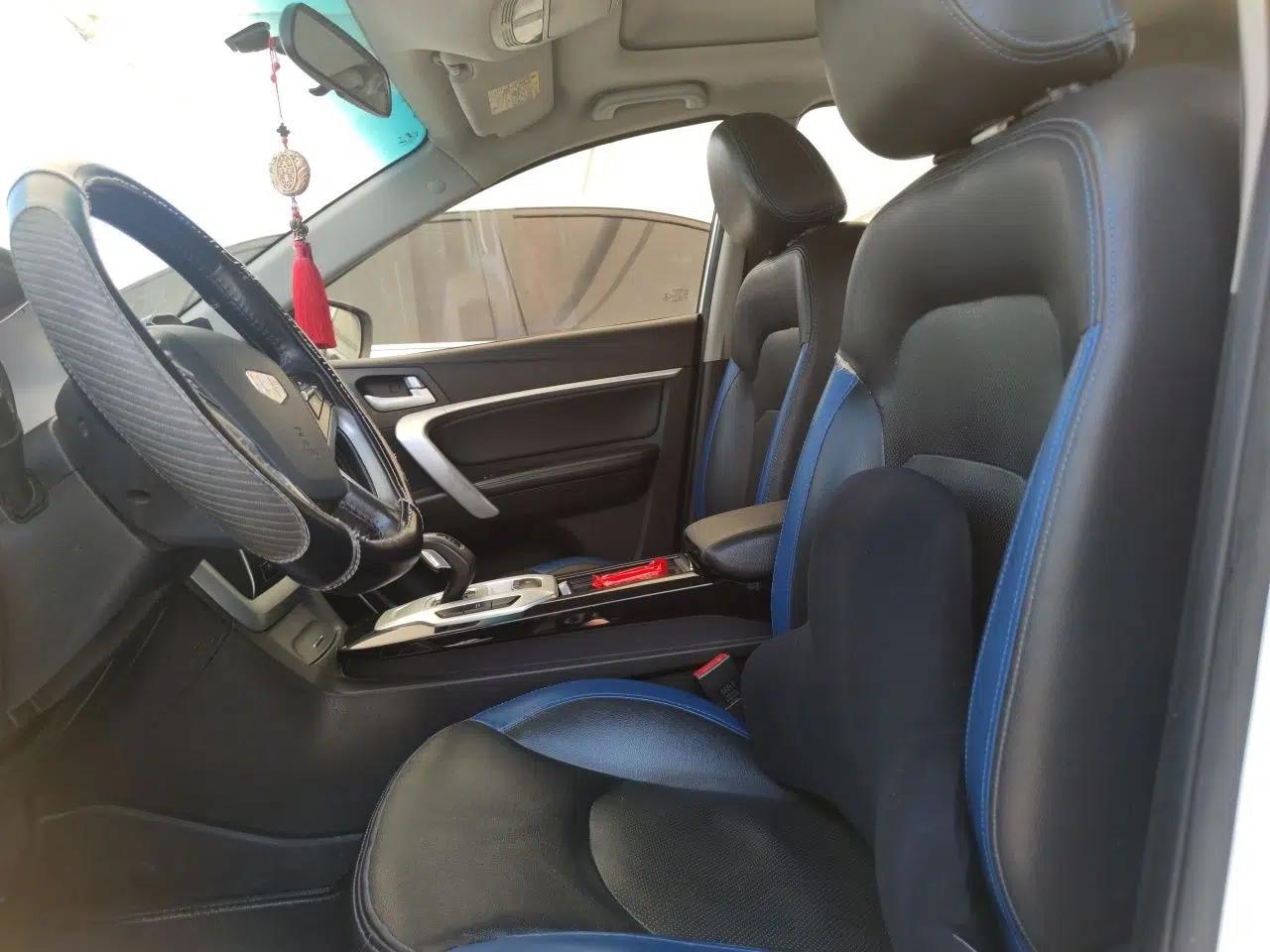 Geely Auto Emgrand New Energy 2016 EV Elite Model — миниатюра 16