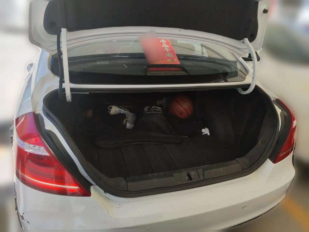 Geely Auto Emgrand New Energy 2016 EV Elite Model — миниатюра 20