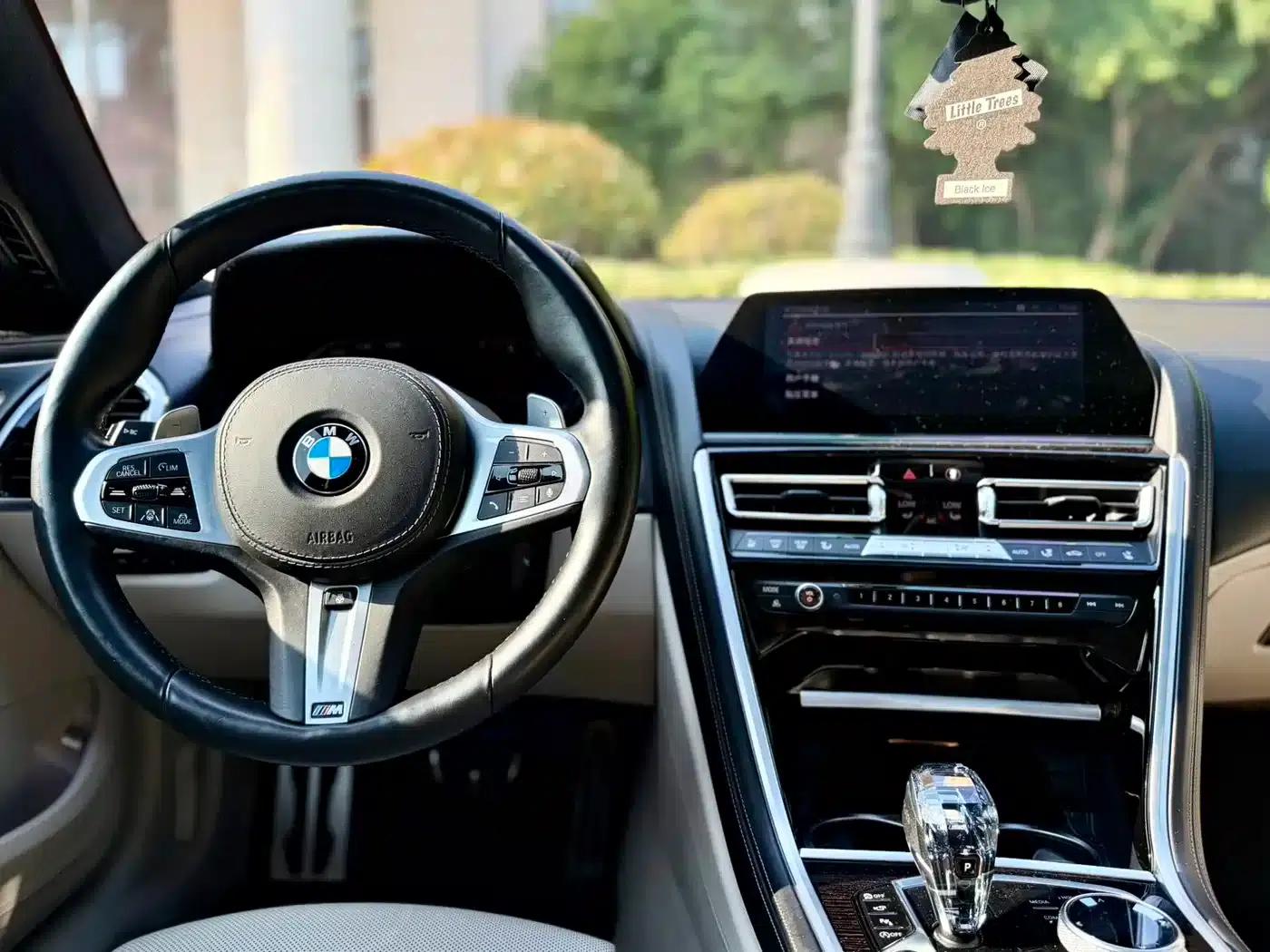 2019 BMW 8 Series 840i xDrive Gran Coupe M Sport Package — миниатюра 17