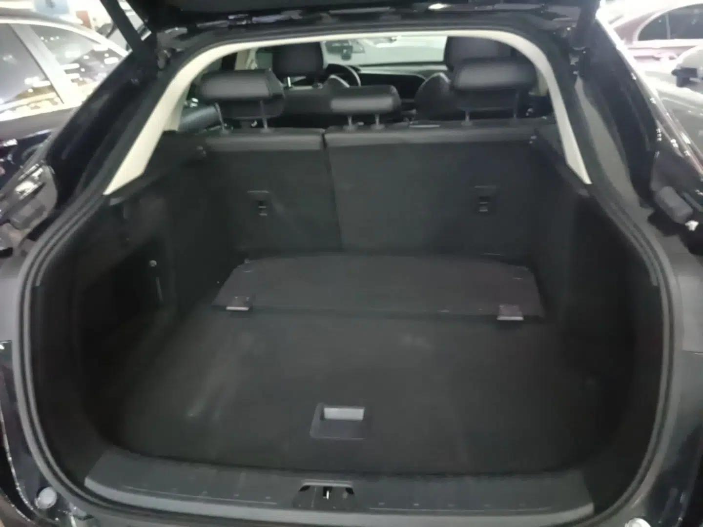 Geely Auto Monjaro S 2021 2.0TD DCT Two-Wheel Drive Lightning Edition — миниатюра 22