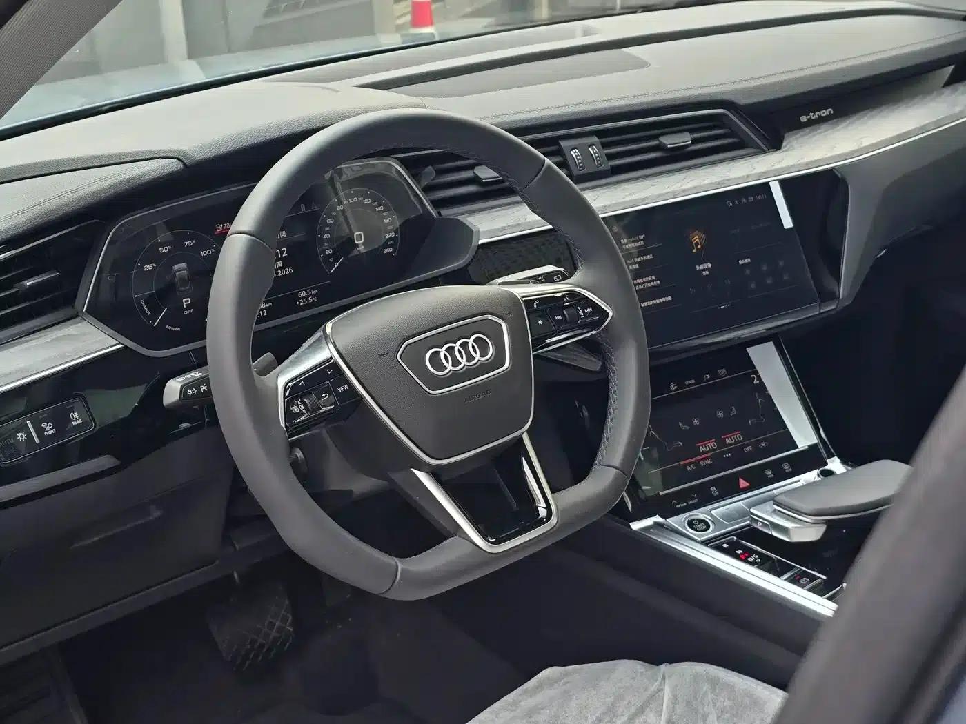 Audi e-tron 2021 50 quattro Premium Edition — миниатюра 20