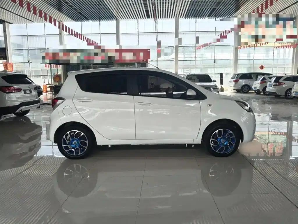Benben EV 2018 EV260 Fashion Edition — миниатюра 6