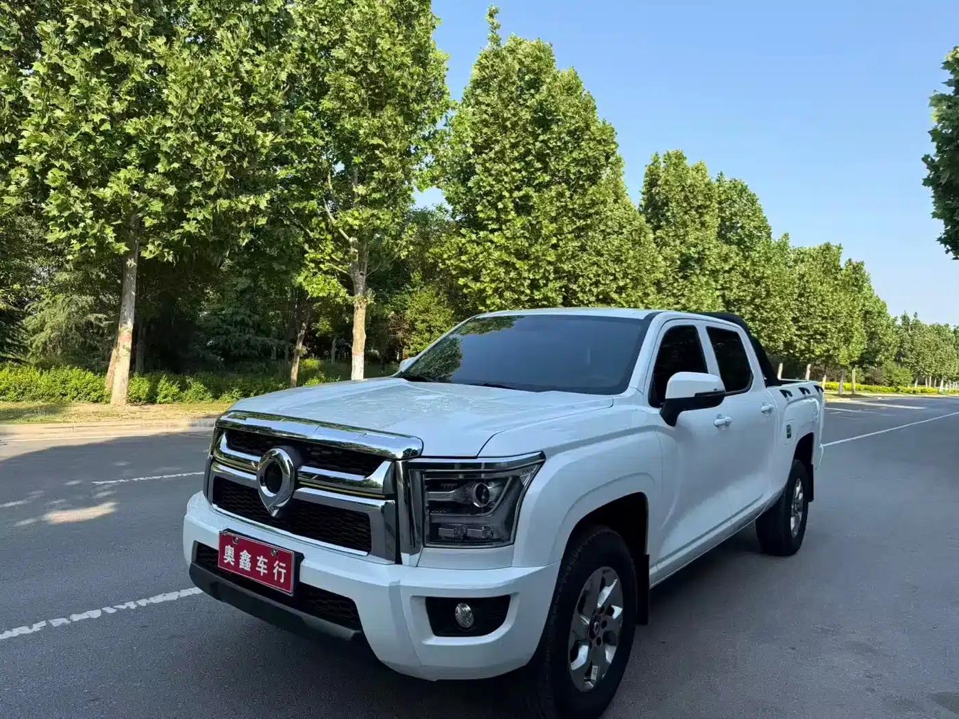 King Kong Cannon 2024 2.0T Automatic Diesel 4WD Elite Long Box — миниатюра 2