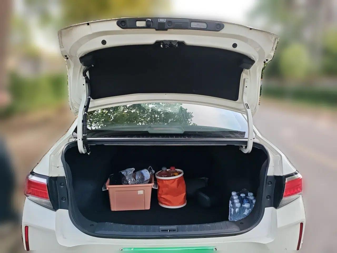 Venucia D60EV 2022 Standard Range Smart Drive Version — миниатюра 20