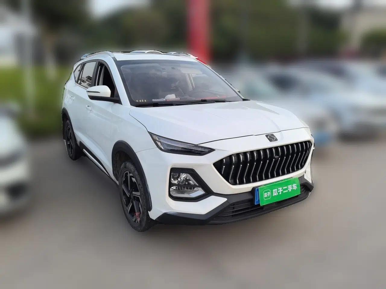 SOL X8 2021 300T DCT Panoramic Luxury Edition 6 Seats — миниатюра 3