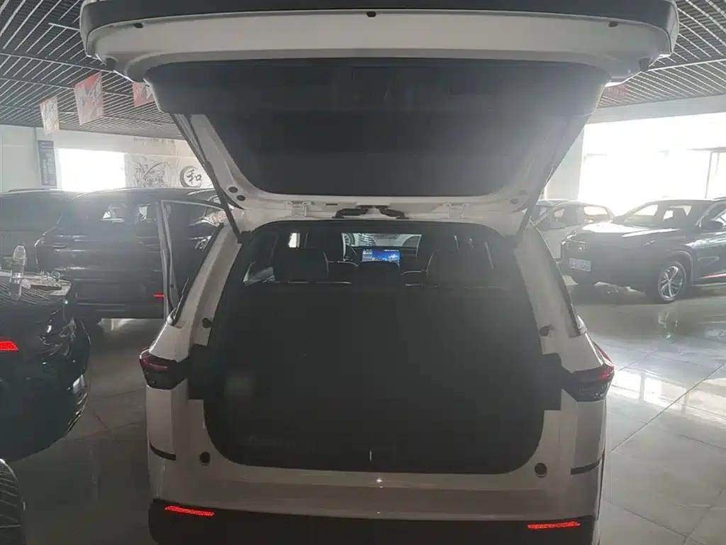Platinum 3X 2025 520 Pro — миниатюра 19