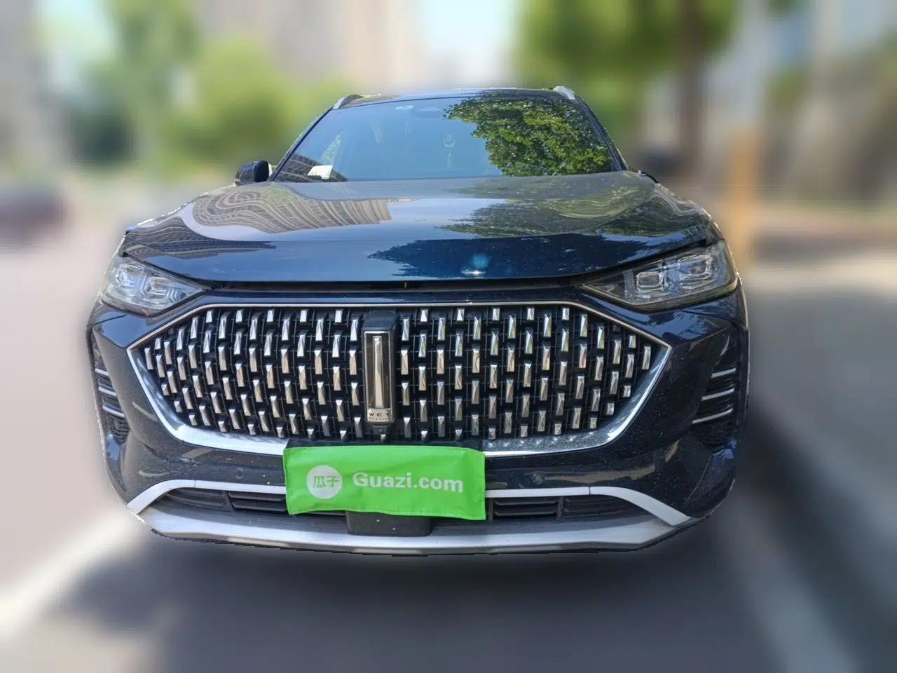 Wey Mocha 2021 2.0T Two-Wheel-Drive Premium Edition — миниатюра 2