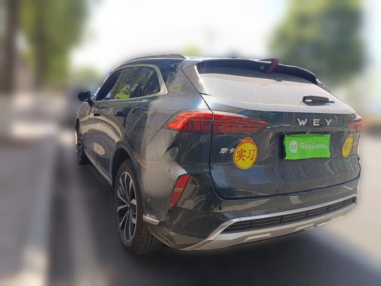 Wey Mocha 2021 2.0T Two-Wheel-Drive Premium Edition — миниатюра 4