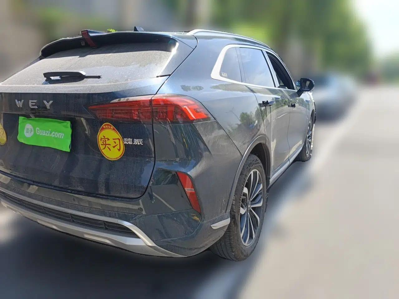 Wey Mocha 2021 2.0T Two-Wheel-Drive Premium Edition — миниатюра 6