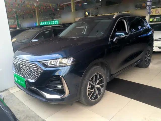 Wey Latte DHT-PHEV 2022 1.5T Four-Wheel Drive Extra-Large Version