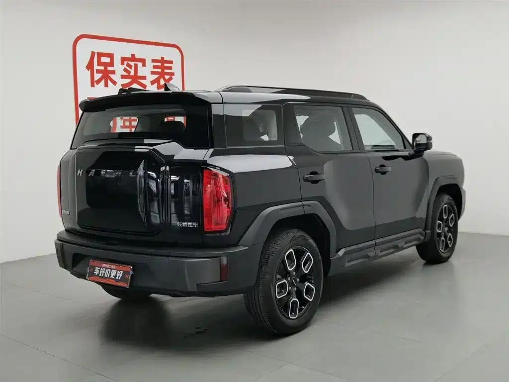 Haval Cool Dog 2022 1.5T DCT 4WD Trendy Wild Edition — миниатюра 2
