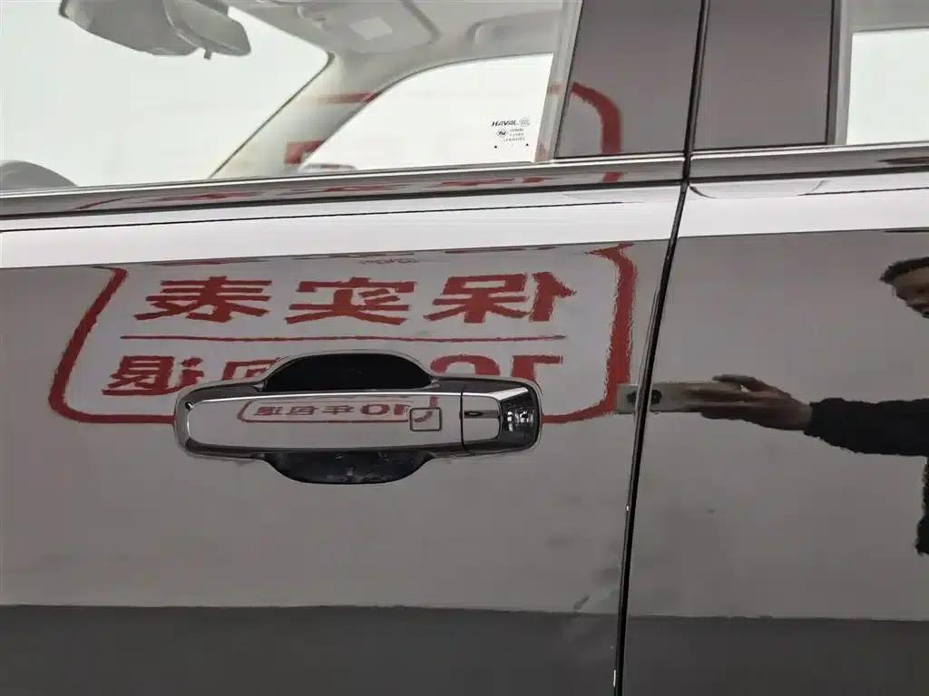 Haval Cool Dog 2022 1.5T DCT 4WD Trendy Wild Edition — миниатюра 18