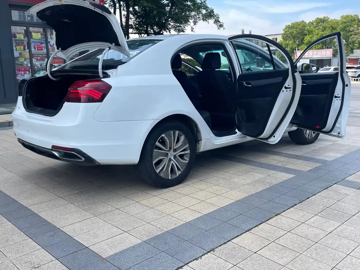 Geely Emgrand EV450 Progressive (2018 Model) — миниатюра 14